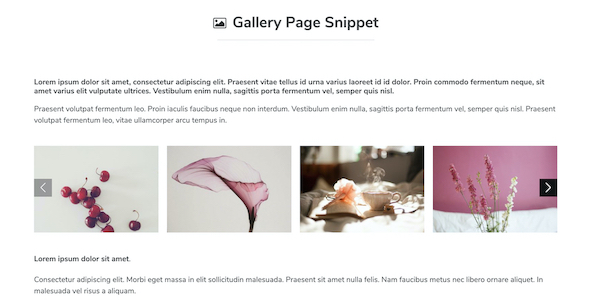 Gallery Page